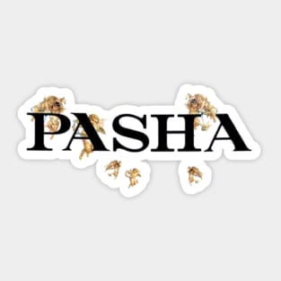 Pashanim Logo Sticker